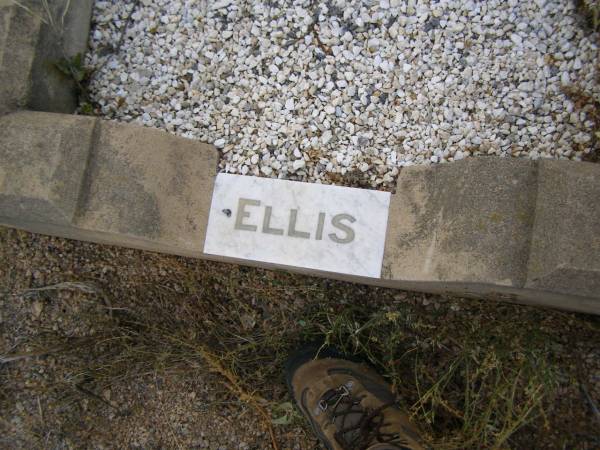 baby ELLIS,  | died 13 Nov 1954 aged 11 months;  | Silverleigh Lutheran cemetery, Rosalie Shire  | 
