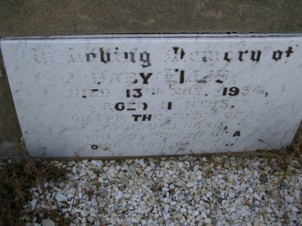 baby ELLIS,  | died 13 Nov 1954 aged 11 months;  | Silverleigh Lutheran cemetery, Rosalie Shire  | 