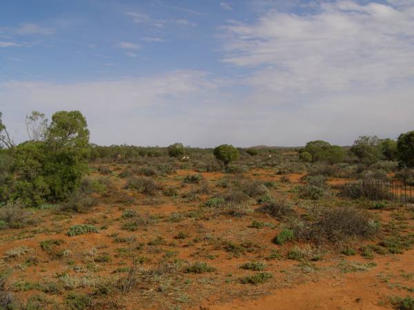 Silverton cemetery,  | New South Wales  | 