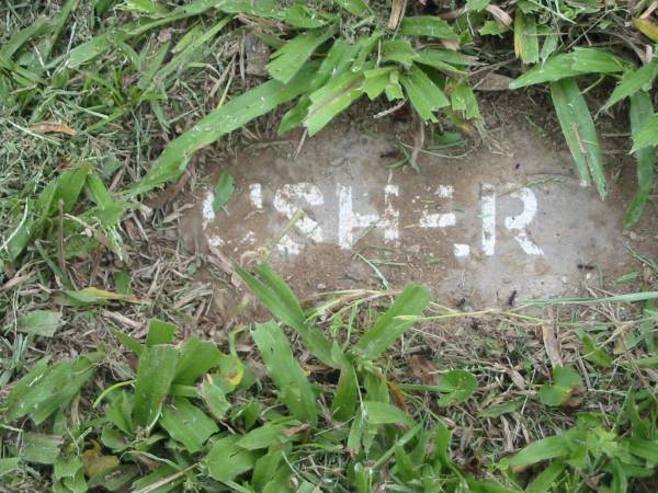 USHER;  | Slacks Creek St Mark's Anglican cemetery, Daisy Hill, Logan City  | 