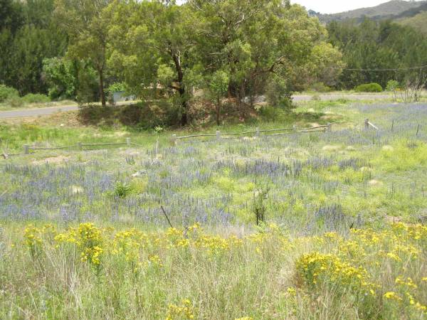 Cemetery near Upper Turon Road,  | Sofala,  | New South Wales  | 