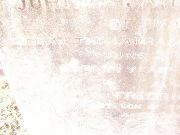 William,  | second son of John & Jane Ann THOMAS of Warwick,  | died at Laura River Palmer Road  | 20 June 1878  | aged 14 years 4 months;  | Frederick,  | infant son,  | aged 2 days;  | Swan Creek Anglican cemetery, Warwick Shire  | 