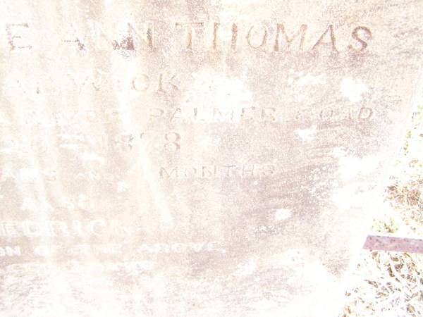 William,  | second son of John & Jane Ann THOMAS of Warwick,  | died at Laura River Palmer Road  | 20 June 1878  | aged 14 years 4 months;  | Frederick,  | infant son,  | aged 2 days;  | Swan Creek Anglican cemetery, Warwick Shire  | 