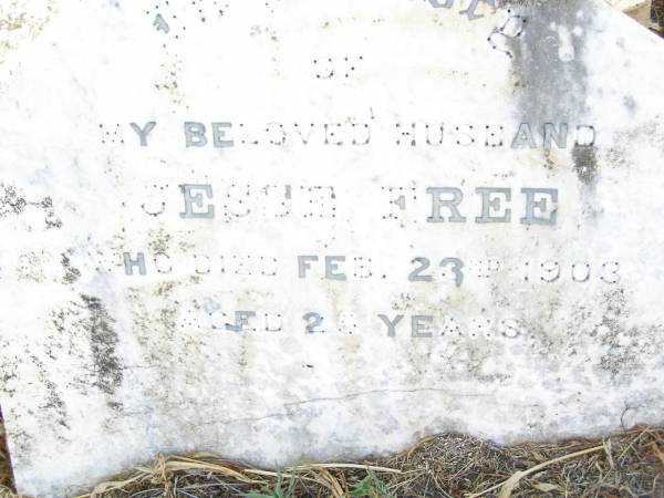 Jesse FREE,  | husband,  | died 23 Feb 1903 aged 25 years;  | Swan Creek Anglican cemetery, Warwick Shire  | 