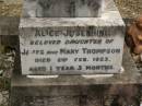 
Alice Josephine,
daughter of James & Mary THOMPSON,
died 2 Feb 1923 aged 1 year 3 months;
Thomas,
son of James & Mary THOMPSON,
died 12 Nov 1926 aged 9 years 3 months;
James Edward THOMPSON,
5 Nov 1913 - 19 Sept 2000;
Tallebudgera Catholic cemetery, City of Gold Coast
