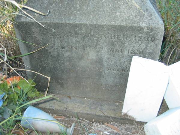 Katharine HAGEMANN (geb KREITZ)  | geb 23 Oct 1830, gest 13 Mai 1891  | Tallegalla Pioneer Catholic Cemetery  | 
