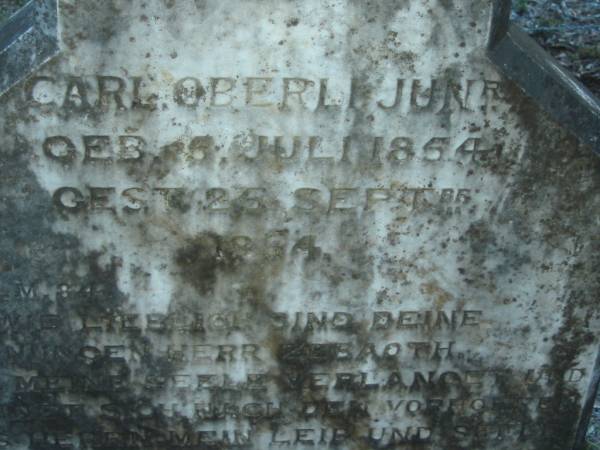 Carl OBERLI (JUNr)  | geb 5 Juli 1854, gest 25 Sep 1884  | Tallegalla Pioneer Catholic Cemetery  | 