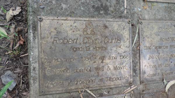 Robert Clive CURTIS  | b: 5 Nov 1964  | d: 4 Jun 1966, aged 19 m  | Tamborine Plunkett Road Cemetery (Cedar Creek)  |   | 