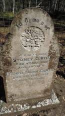 
Sydney CURTIS
d: 9 Jun 1925, aged 69
Esther Sarah CURTIS
d: 6 Sep 1933, aged 70
Tamborine Plunkett Road Cemetery (Cedar Creek)
