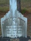 
Mary ROCHE
June 1951
aged 78

Tamborine Catholic Cemetery, Beaudesert

