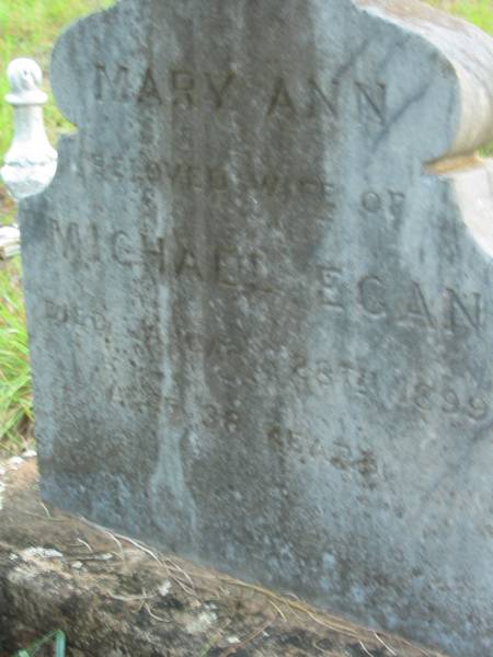 Mary Ann  | wife of Michael EGAN  | 23 Jan 1899  | aged 38  |   | Tamborine Catholic Cemetery, Beaudesert  |   | 
