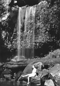Curtis Falls in Tamborine National Park 1937