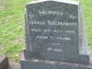 
David SALISBURY
18 Jul 1969, aged 71

Dave

Tamrookum All Saints church cemetery, Beaudesert
