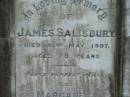 
James SALISBURY
31 May 1907, aged 79
Margaret
(wife of) James SALISBURY
3 Jun 1927, aged 81
(daughter) Rebecca Morgan SALISBURY
20 May 1962, aged 76
(son) gunner Wm SALISBURY
(killed in action, France)
20 Jul 1917, aged 35
Tamrookum All Saints church cemetery, Beaudesert
