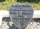 
Avril D. HERBST (Baby), daughter sister,
died 24 Sept 1945;
Tarampa Apostolic cemetery, Esk Shire
