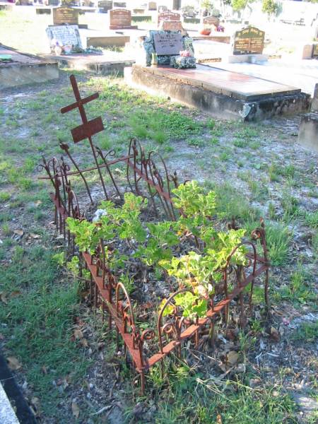 Tea Gardens cemetery, Great Lakes, New South Wales  | 