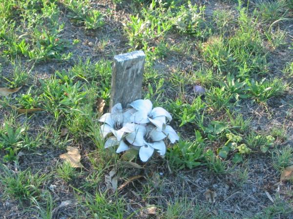 Tea Gardens cemetery, Great Lakes, New South Wales  | 