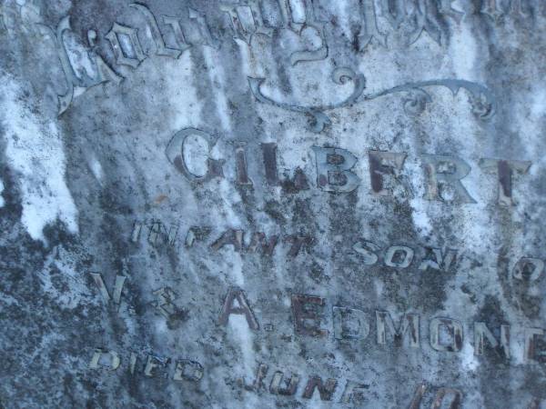 Gilbert,  | infant son of V. & A. EDMONDS,  | died 10 June 1929 aged 2 1/2 years;  | Tea Gardens cemetery, Great Lakes, New South Wales  | 