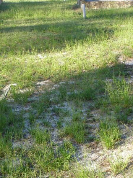 Tea Gardens cemetery, Great Lakes, New South Wales  | 