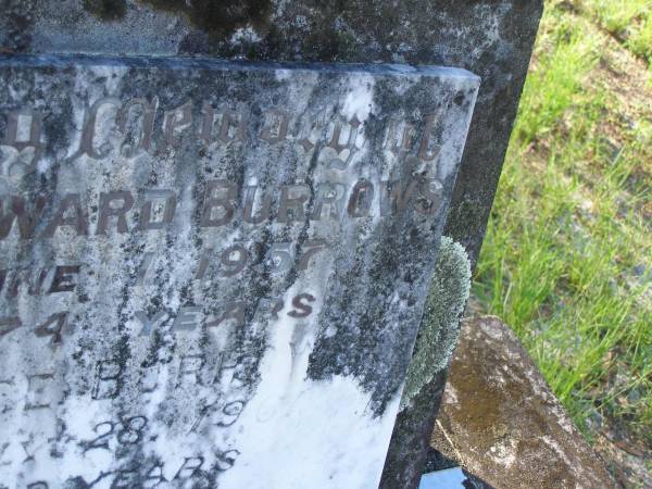 William Edward BURROWS,  | died 2 June 1957 aged 74 years;  | Amy? Alice BURROWS,  | died 28 July 1961 aged 73 years;  | Tea Gardens cemetery, Great Lakes, New South Wales  | 