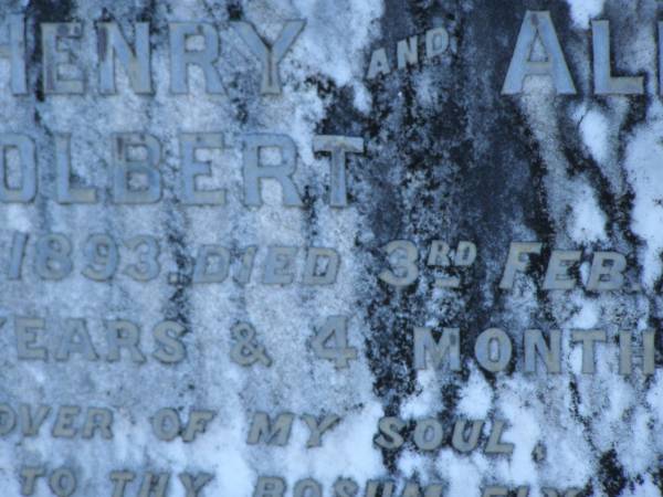 Jane,  | daughter of Francis Henry & Alice HOLBERT,  | born 28 Sept 1893,  | died 3 Feb 1913 aged 19 years 4 months;  | Tea Gardens cemetery, Great Lakes, New South Wales  | 