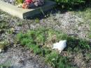 
Tea Gardens cemetery, Great Lakes, New South Wales
