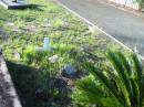 
William (Bill) WATSON,
died 14-2-02 aged 57 years;
Tea Gardens cemetery, Great Lakes, New South Wales
