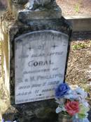 
Coral,
daughter of S. & M. PHILLIPS,
died 7 Nov 1928 aged 11 months;
Tea Gardens cemetery, Great Lakes, New South Wales
