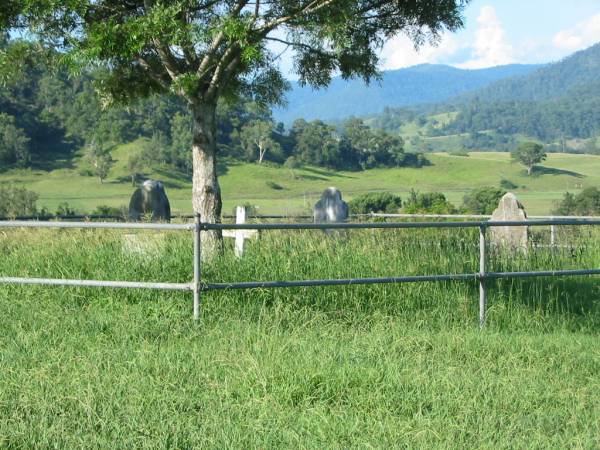 Wilson Family Private Cemetery, The Risk via Kyogle, New South Wales  | 