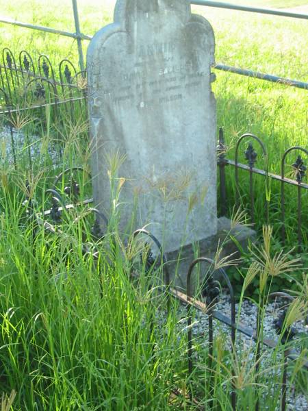 Annie, wife of David SAVILLE,  | died 31 July 1907 aged 28? years;  | erected by father John WILSON;  | Wilson Family Private Cemetery, The Risk via Kyogle, New South Wales  | 