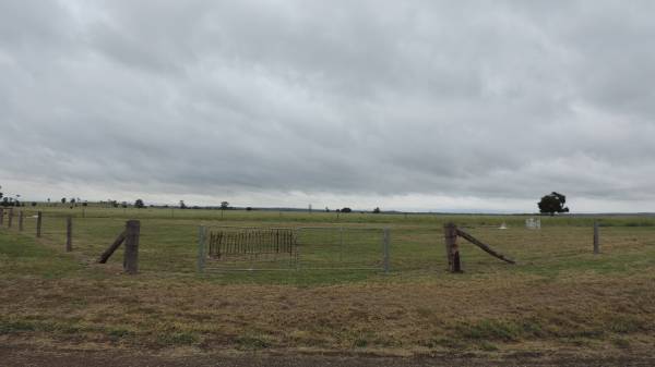 Theodore Pioneer / Old Theodore Cemetery  |   | 