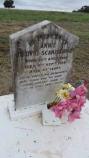 
Annie Hedvig SCANTLEBURY
B: 25 Apr 1882
D: 5 Sep 1934, aged 52
Theodore Pioneer  Old Theodore Cemetery
