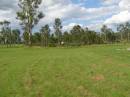 
Tiaro cemetery, Fraser Coast Region
