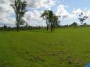 
Tiaro cemetery, Fraser Coast Region
