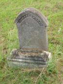 
Emily,
daughter of John & Mary ELLIS,
died ???? 1889;
Tiaro cemetery, Fraser Coast Region
