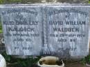 
Maud Emma Lily WALDOCK,
died 18 April 1955 aged 60 years;
David William WALDOCK,
died 29 Sept 1978 aged 89 years;
Tiaro cemetery, Fraser Coast Region
