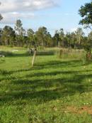 
Tiaro cemetery, Fraser Coast Region
