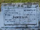 
Theo JAMIESON,
husband,
died 28 Jan 1958 aged 67 years;
Maryann JAMIESON,
wife
died 29 Sept 1974 aged 80 years;
Tiaro cemetery, Fraser Coast Region
