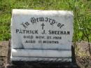 
Patrick J. SHEEHAN,
died 27 Nov 1928 aged 8 months;
Tiaro cemetery, Fraser Coast Region
