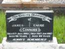 
James CONNORS,
died 15 July 1993 aged 96 years;
Engre CONNORS,
died 26 Jan 1987 aged 89 years;
Tiaro cemetery, Fraser Coast Region
