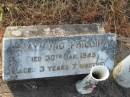 
Raymond Phillip VOLLMERHAUSEN,
died 30 Jan 1945 aged 3 years 7 months;
Tiaro cemetery, Fraser Coast Region
