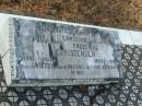 
Poul CHRISTENSEN,
1847 - 1926;
Ernestine Juliane Frederike CHRISTENSEN,
1859 - 1944;
Victor,
killed in action Messines 31-7-1917 aged 22 years;
Tiaro cemetery, Fraser Coast Region
