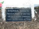 
Brenda Grace DAWSON,
died 9 July 1962 aged 2 years 3 months;
Tiaro cemetery, Fraser Coast Region
