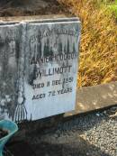 
Annie Hodgson WILLIMOTT,
died 11 Dec 1951 aged 72 years;
Tiaro cemetery, Fraser Coast Region
