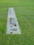 
Tiaro cemetery, Fraser Coast Region
