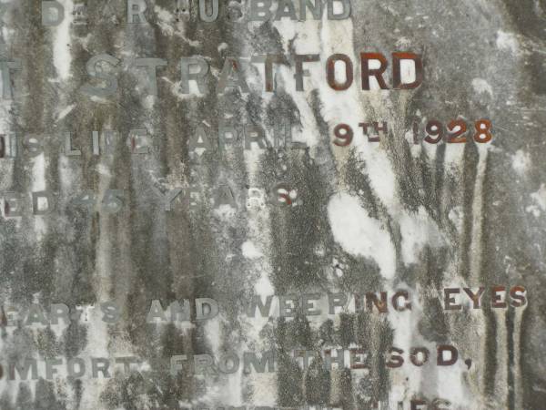 Albert STRATFORD,  | husband,  | died 9 April 1928 aged 45 years;  | Tiaro cemetery, Fraser Coast Region  | 