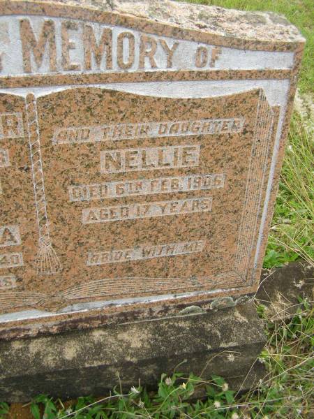 David WAGNER,  | died 21 May 1928 aged 69 years;  | Wilhelmina,  | wife,  | died 22 Oct 1940 aged 76 years;  | Nellie,  | daughter,  | died 6 Feb 1906 aged 17 years;  | Tiaro cemetery, Fraser Coast Region  | 