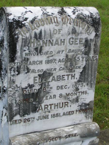 Hannah GEE,  | died Bauple 27 March 1897 aged 55 years;  | Elizabeth,  | child,  | died 8 Dec 1873 aged 1 year 8 months;  | Arthur,  | child,  | died 26 June 1881 aged 1 month;  | Tiaro cemetery, Fraser Coast Region  | 