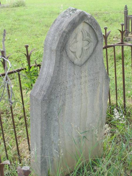 James GODING,  | died 12 Dec 1879 aged 66 years;  | Tiaro cemetery, Fraser Coast Region  | 