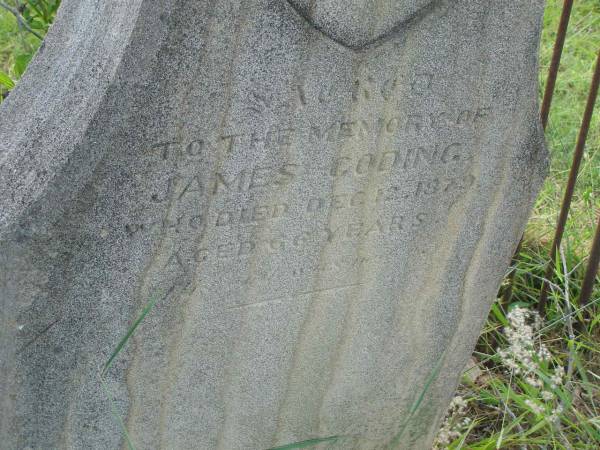 James GODING,  | died 12 Dec 1879 aged 66 years;  | Tiaro cemetery, Fraser Coast Region  | 